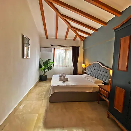 Patara Fiesta 3+1 Villa, Oezel Havuzlu, Vila